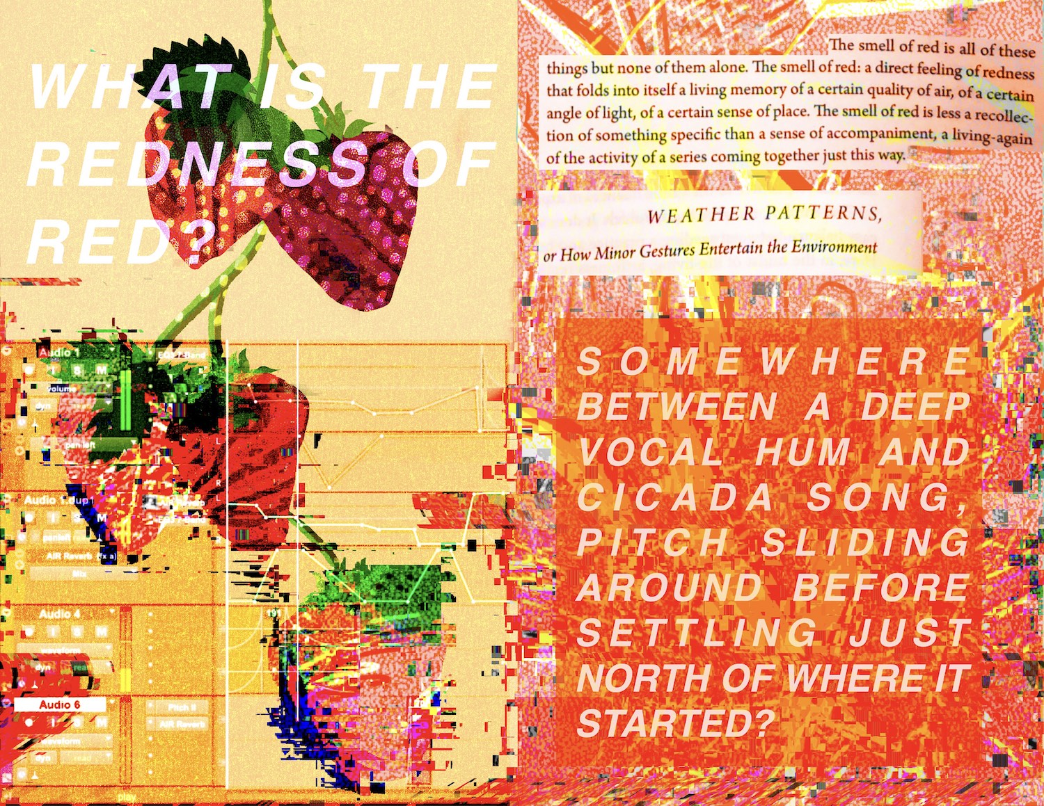 The second panel of Ariana Martinez’s Not Just a Cut echoes some of the colours and shapes of the first, as the yellow crescents and vibrating markings swirl into the right hand side of the image. On the left we see an image of two strawberries. White text placed over the top asks, what is the redness of red? A further three strawberries are growing out from this top image but as they sink towards the bottom of the image they have become distorted, as if rendered through digital glitches, disappearing into pixels. Over these strawberries we can see the faint imprint of audio editing software. The names of tracks are visible, as are some sharp lines to mark out the decisions in a mix, which appear like a ghostly constellation. In the top right of the image as see a quote which has been cut out from a book. It reads, The smell of red is all of these things but none of them alone. The smell of red: a direct feeling of redness that folds into itself a living memory of a certain quality of air, of a certain angle of light, of a certain sense of place. The smell of red is less a recollection of something specific than a sense of accompaniment, a living-again of the activity of a series coming together just this way. The title of the text is pasted below the quote, Weather Patterns, or How Minor Gestures Entertain the Environment. The right hand side of the image is also dissolving into digital glitches, squares of colour break apart the yellow crescents and red dots to form a noisy, vivid burst of background colour. Over this, white text reads, Somewhere between a deep vocal hum and cicada song, pitch sliding around before settling, just north of where it started?