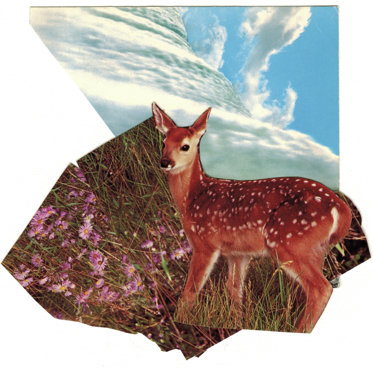 A fawn stands against a tangle of pink and purple flowers, behind its head a swirl of clouds against a blue sky.